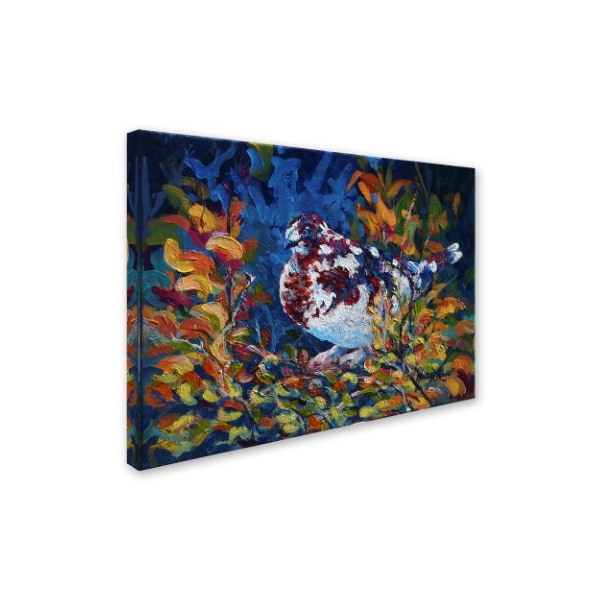 Marion Rose 'Tundra Patterns' Canvas Art,18x24